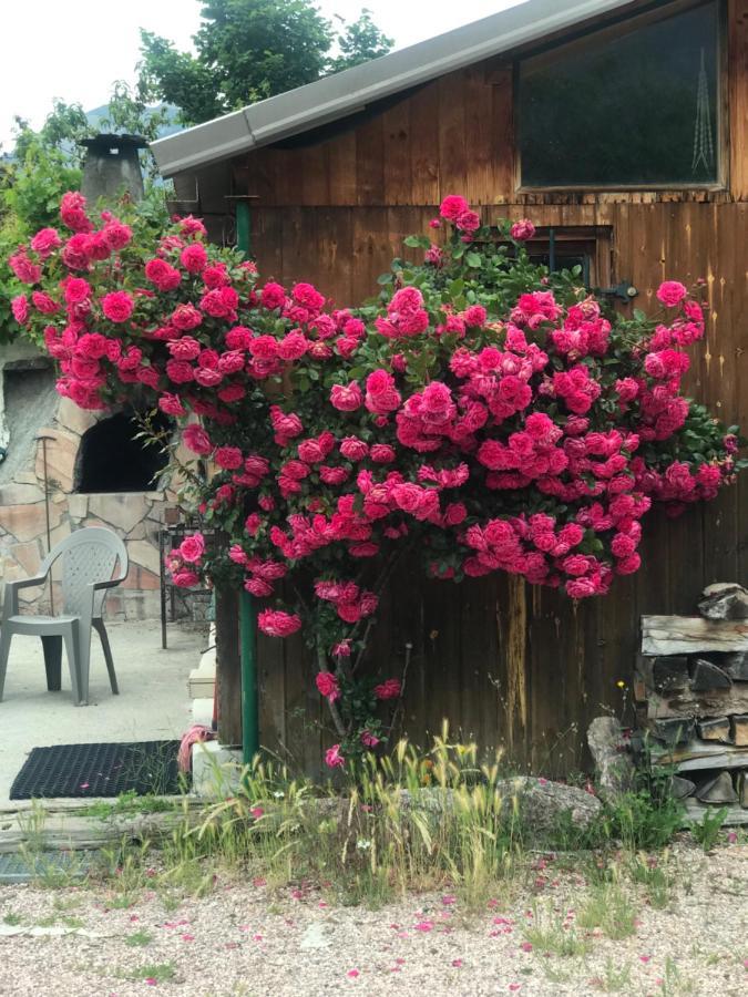 Le Love Chalet Des Alpes غويستريه المظهر الخارجي الصورة